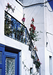 LEICA M6, SUMMARON 3,5/35